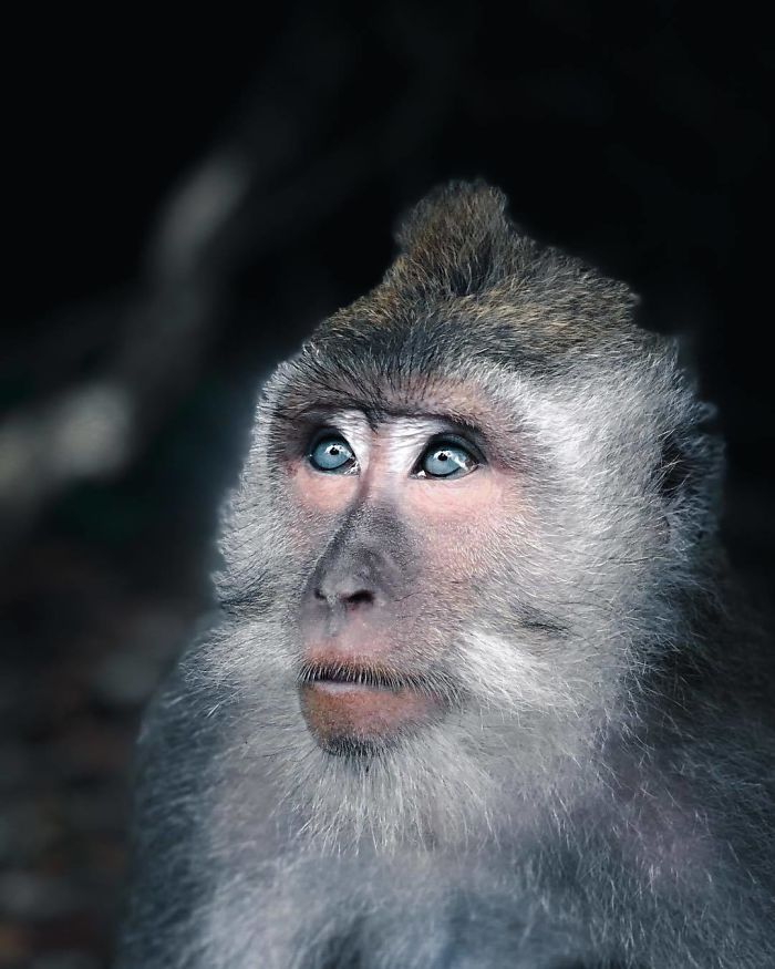 Финалисты Instagram-конкурса National Geographic 2019 - наслаждение для твоих глаз - фото 423985