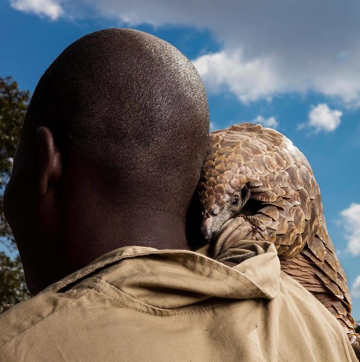 Финалисты Instagram-конкурса National Geographic 2019 - наслаждение для твоих глаз - фото 423987