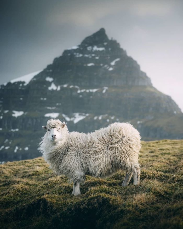Финалисты Instagram-конкурса National Geographic 2019 - наслаждение для твоих глаз - фото 423988