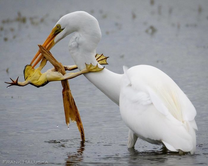 Финалисты Instagram-конкурса National Geographic 2019 - наслаждение для твоих глаз - фото 423989