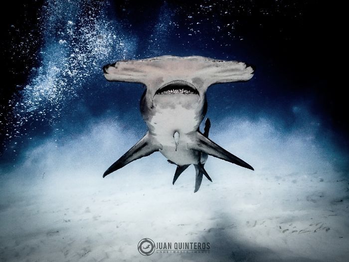 Финалисты Instagram-конкурса National Geographic 2019 - наслаждение для твоих глаз - фото 423991