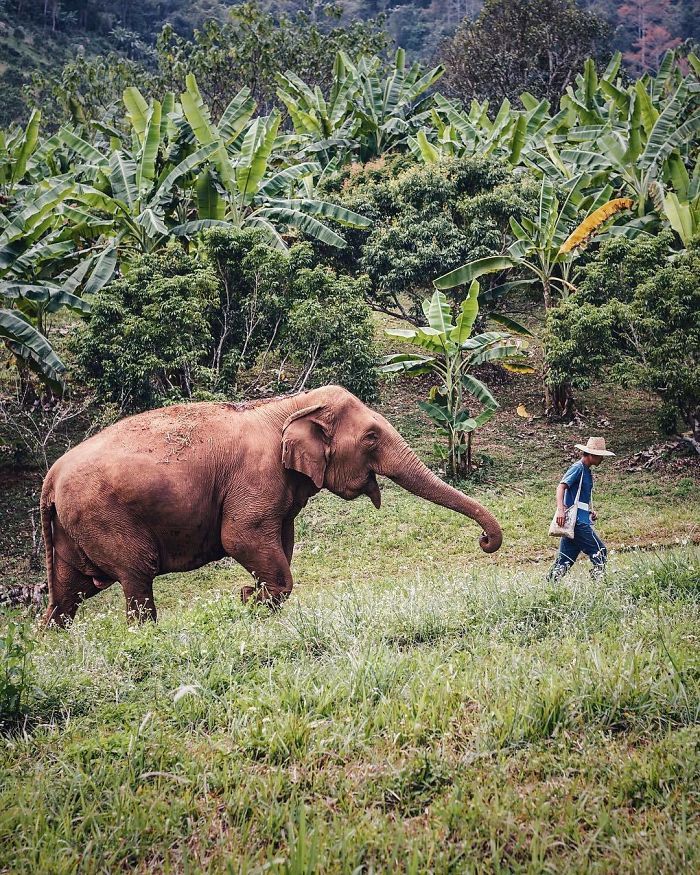 Финалисты Instagram-конкурса National Geographic 2019 - наслаждение для твоих глаз - фото 423995