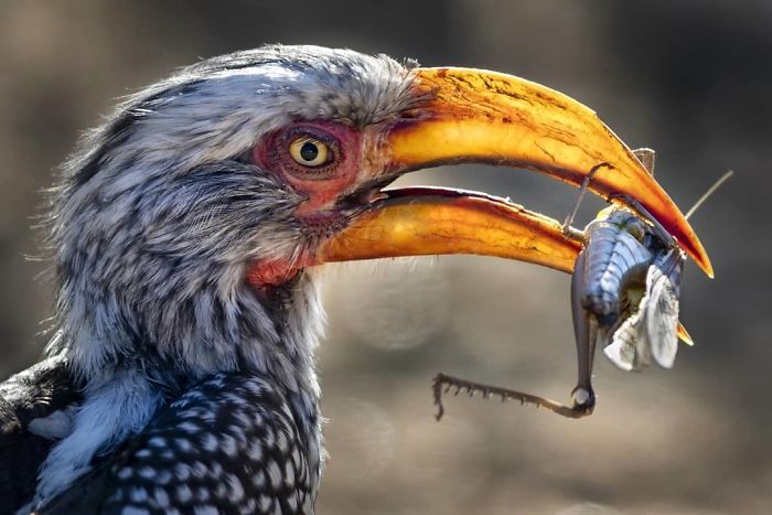 Финалисты Instagram-конкурса National Geographic 2019 - наслаждение для твоих глаз - фото 423997