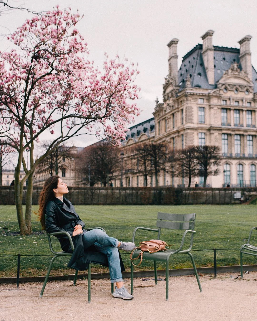 В Париже зацвела магнолия - и это захватывающая красота - фото 424154