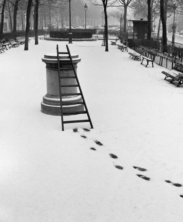 Французский фотограф, который мастерски ловит юмор в объективе, поразил мир - фото 425231