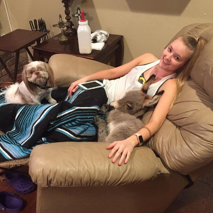 Девушка стала мамой для маленького ослика, и это самое милое, что вы видели - фото 428112