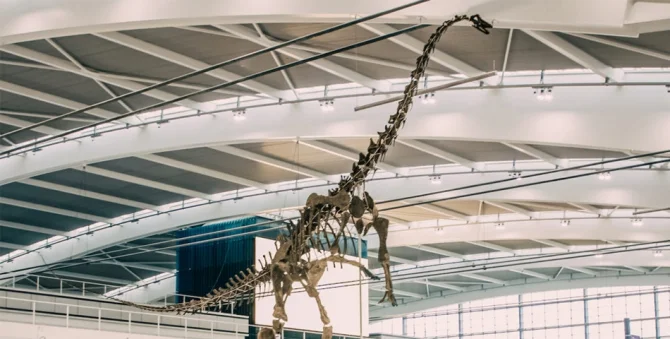 В аэропорту Хитроу поселился динозавр-вегетерианец, которому уже более 155 млн лет - фото 428516