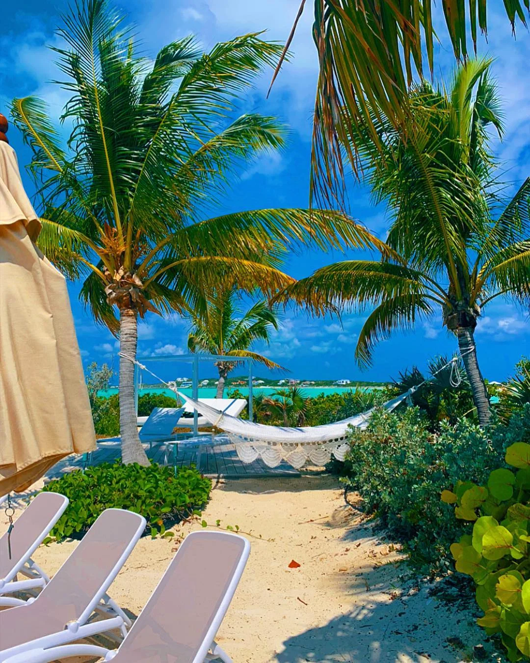 Закохані Белла Хадід і The Weeknd заінтригували спекотними знімками з Карибських островів - фото 429236