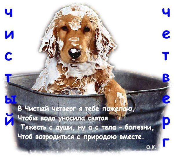 Чистый четверг: поздравительные открытки с праздником - фото 430612