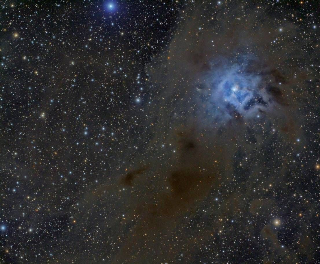 60-річна пенсіонерка виграла фотоконкурс NASA, і ви маєте побачити її роботи - 430981 60-річна пенсіонерка виграла фотоконкурс NASA, і ви маєте побачити її роботи - фото 430981