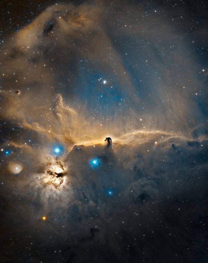 60-річна пенсіонерка виграла фотоконкурс NASA, і ви маєте побачити її роботи - 430985 60-річна пенсіонерка виграла фотоконкурс NASA, і ви маєте побачити її роботи - фото 430985