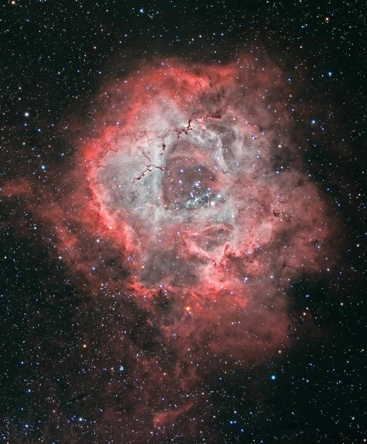 60-річна пенсіонерка виграла фотоконкурс NASA, і ви маєте побачити її роботи - 430991 60-річна пенсіонерка виграла фотоконкурс NASA, і ви маєте побачити її роботи - фото 430991