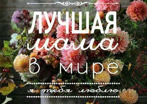 День Матери: поздравительные открытки с праздником - фото 432299