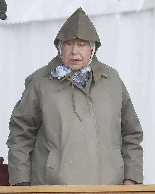 Королева Елизавета II болела на скачках и ее выражения лица заслуживают 'Оскара' - фото 432540