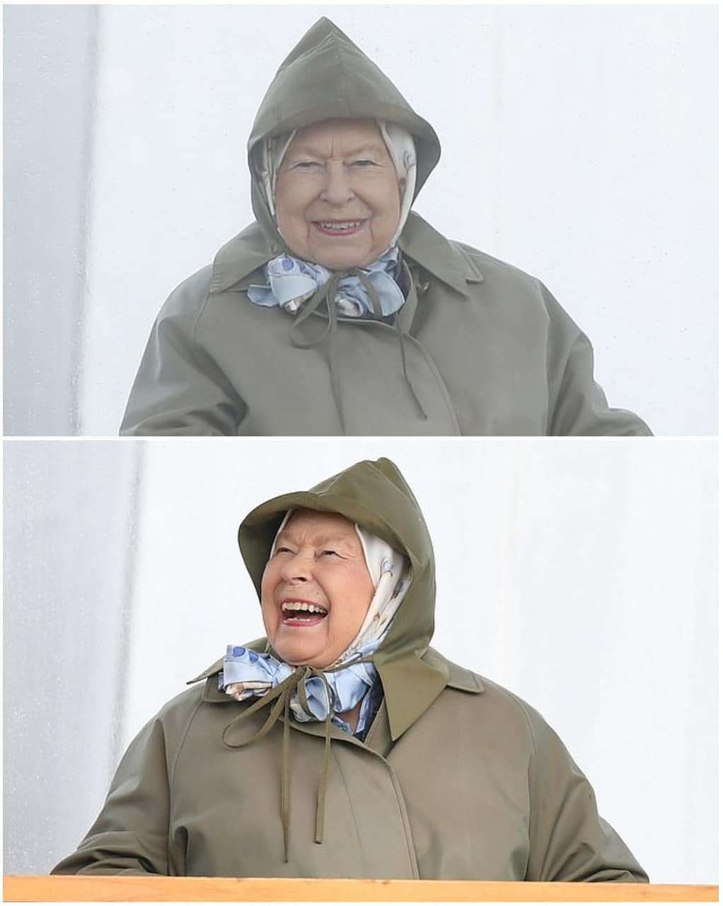 Королева Єлизавета ІІ вболівала на скачках і її вирази обличчя заслуговують 'Оскара' - фото 432541