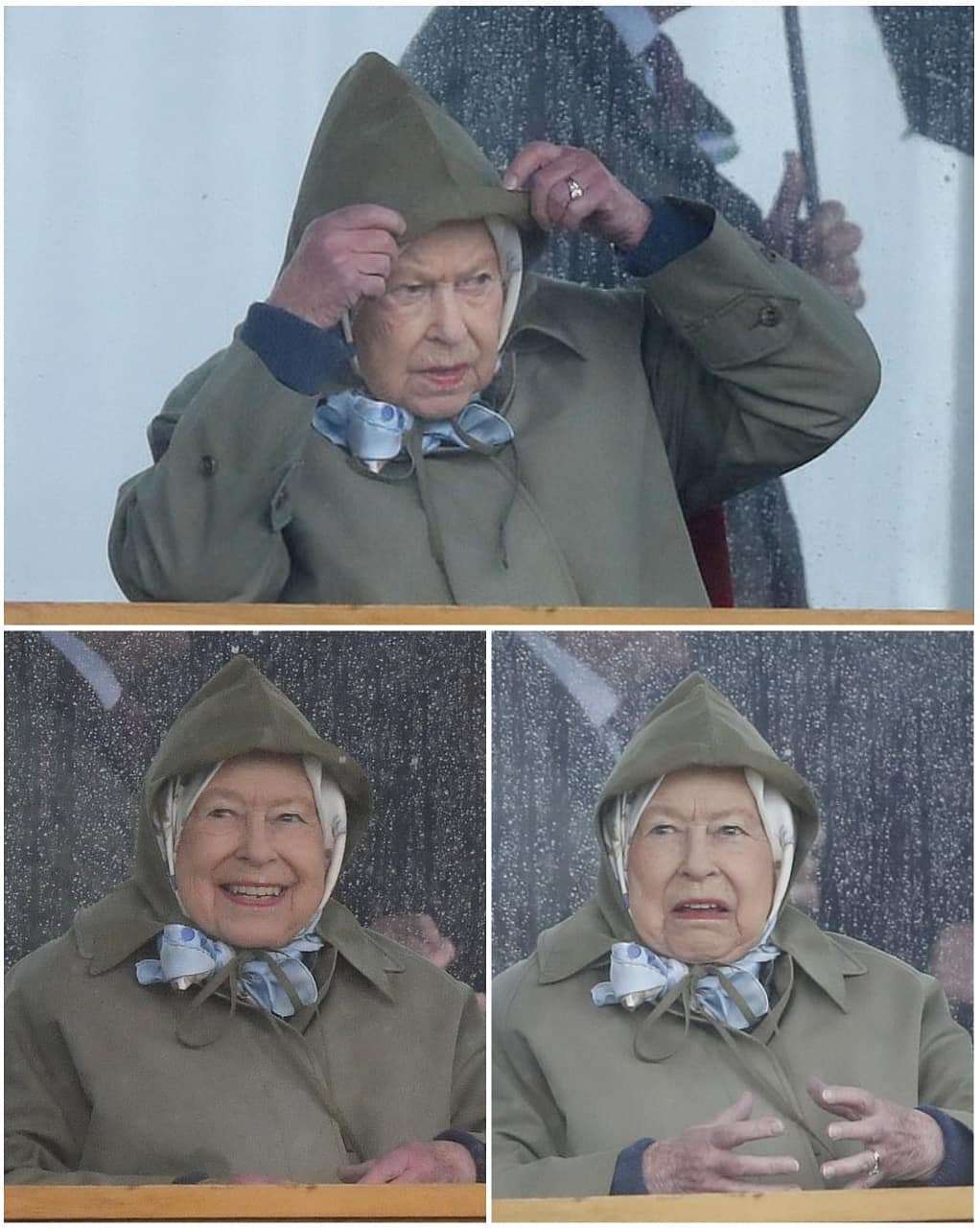 Королева Єлизавета ІІ вболівала на скачках і її вирази обличчя заслуговують 'Оскара' - фото 432543