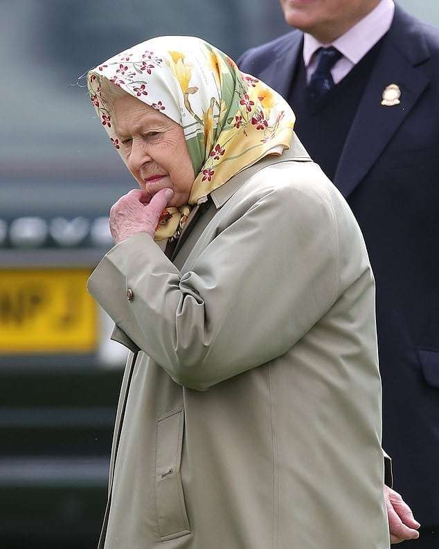 Королева Єлизавета ІІ вболівала на скачках і її вирази обличчя заслуговують 'Оскара' - фото 432544