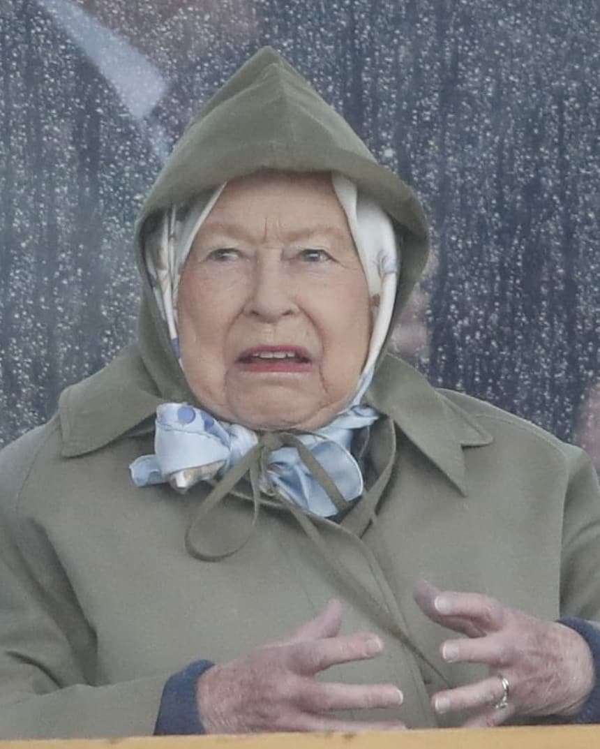 Королева Єлизавета ІІ вболівала на скачках і її вирази обличчя заслуговують 'Оскара' - фото 432546