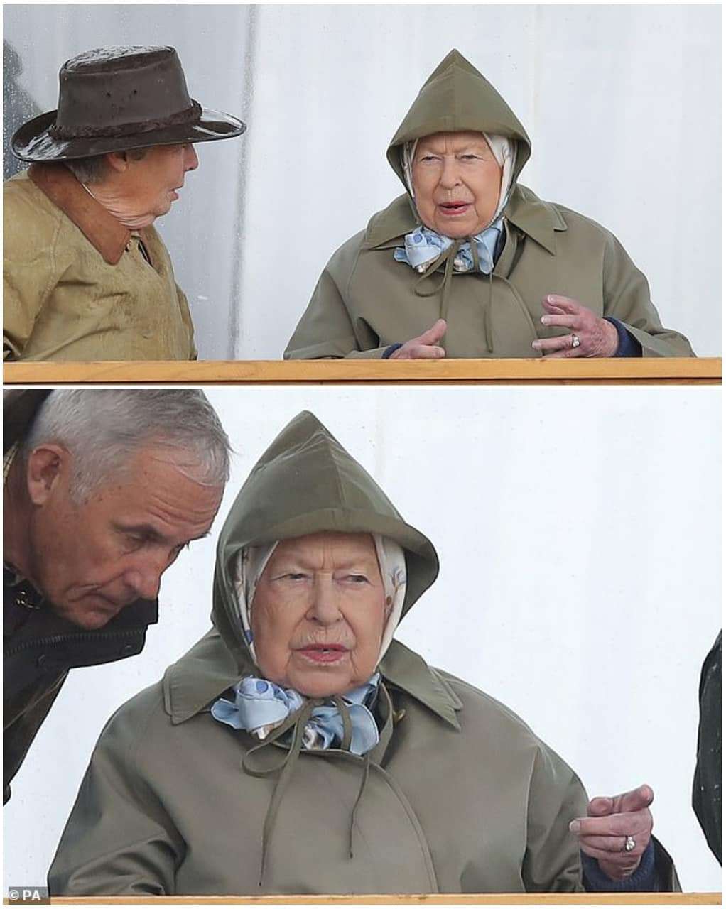 Королева Елизавета II болела на скачках и ее выражения лица заслуживают 'Оскара' - фото 432549