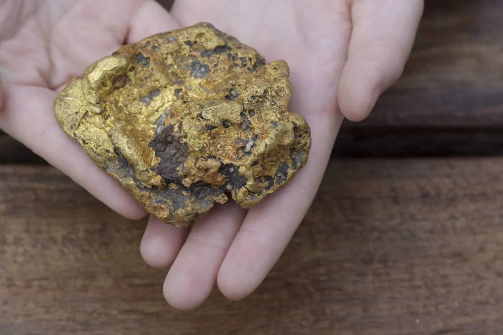 Семья из Австралии прямо посреди прогулки нашла золотой камень, который сделал их богачами - фото 432968