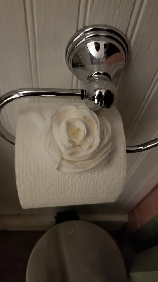 У будинок американця залізли злодії-прибиральники, і зробили з туалетного паперу квіточку - фото 435190