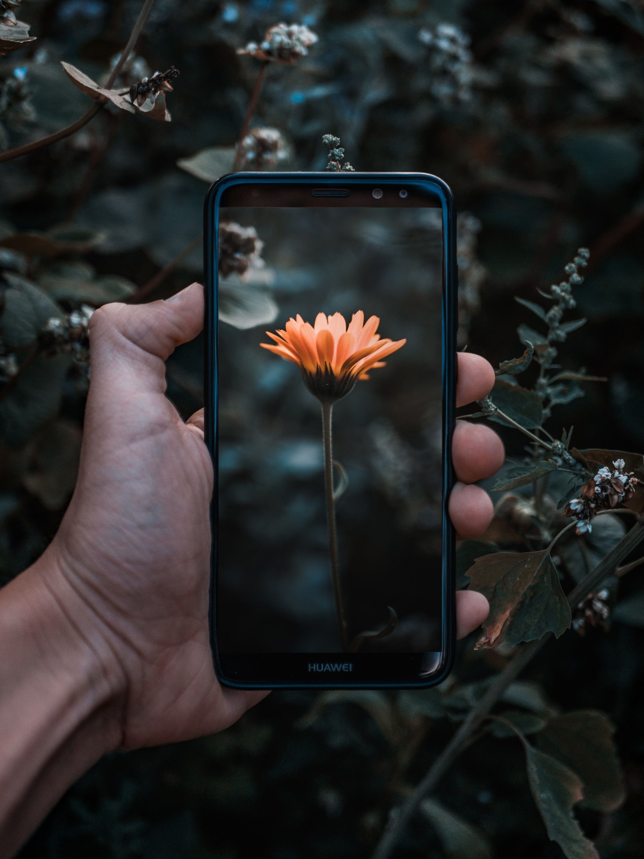 Ученые нашли побочный эффект фотографий, и он переворачивает все с ног на голову - фото 437086