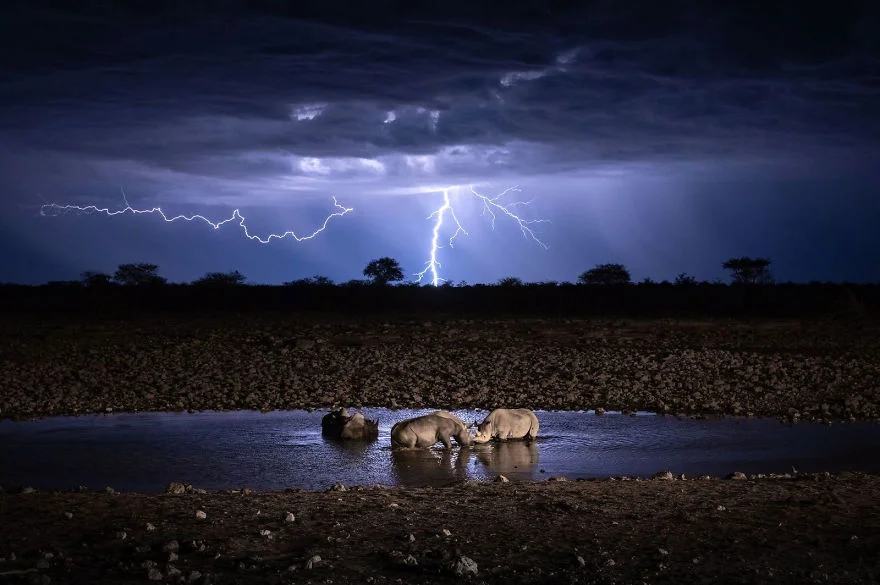 National Geographic визначив переможців конкурсу тревел-фото, і ці знімки неземної краси - фото 437638