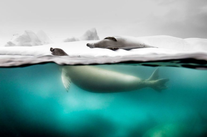 National Geographic определил победителей тревел-конкурса, и эти снимки неземной красоты - фото 437648