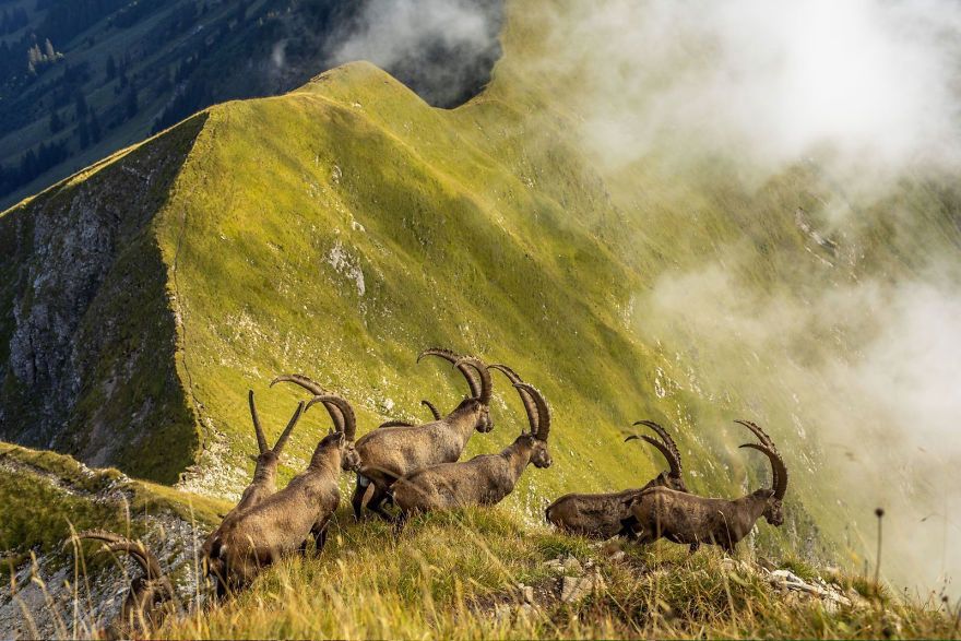 National Geographic определил победителей тревел-конкурса, и эти снимки неземной красоты - фото 437652