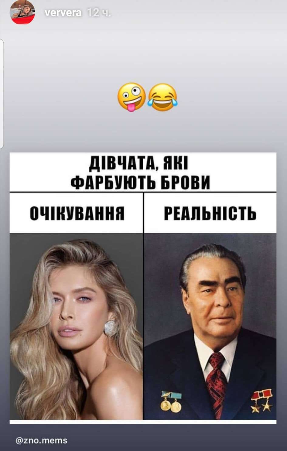 Вера Брежнева потроллила свои брови, сравнив их с бровями Леонида Брежнева - фото 439065