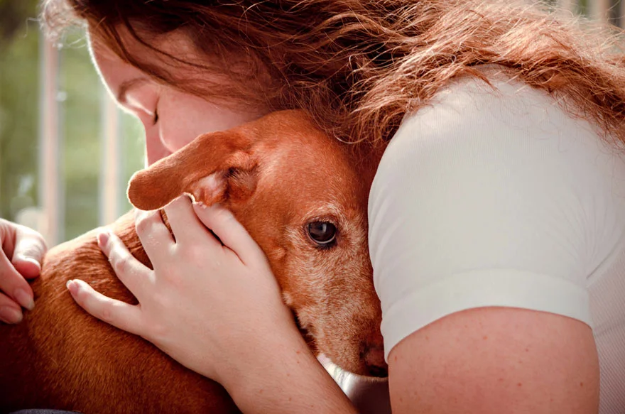 Лучшие фотографии собак 2019: победители конкурса растопят твое сердце - фото 440652