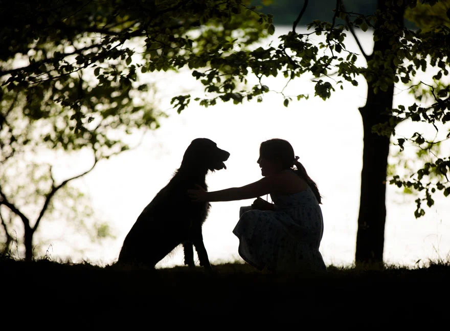 Лучшие фотографии собак 2019: победители конкурса растопят твое сердце - фото 440654