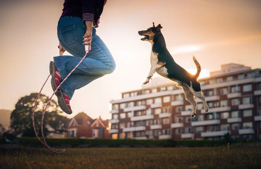 Найкращі фото собак 2019: переможці конкурсу розтоплять твоє серце - фото 440663
