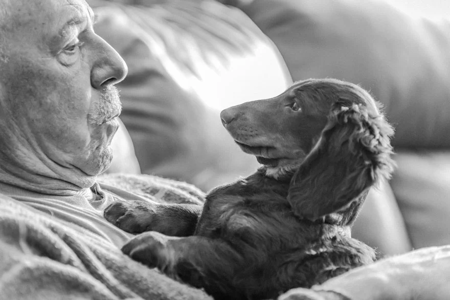 Найкращі фото собак 2019: переможці конкурсу розтоплять твоє серце - фото 440664