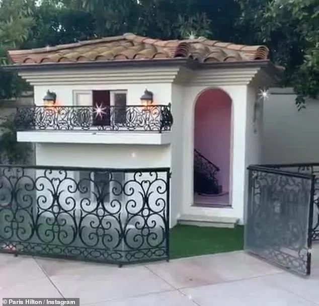 Періс Гілтон показала будиночок своїх собак за $325 тисяч, і він розкішніший, ніж у людей - фото 442762