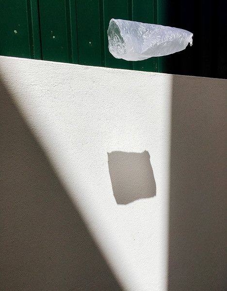 Лучшие фотографии 2019 года, снятые на iPhone - фото 443137