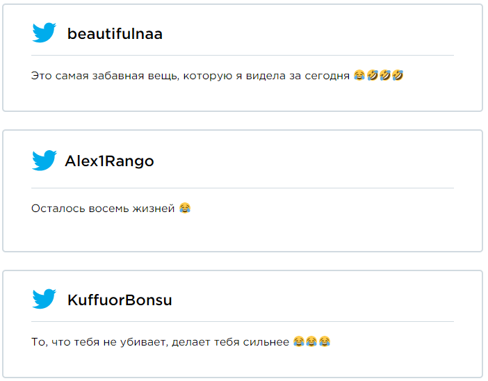 Котик бавився з електрикою, і дарма, бо тепер в нього вселився Альберт Ейнштейн - фото 445258