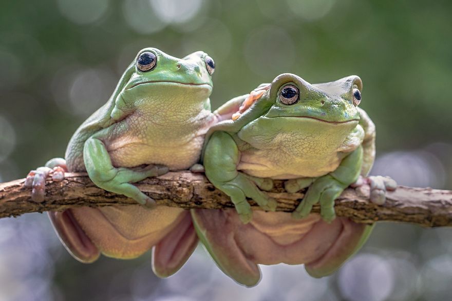 #Love2019 Photo Contest: фотоконкурс, в котором каждый снимок о настоящей любви - фото 445927