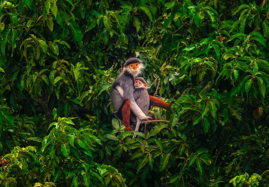 #Love2019 Photo Contest: фотоконкурс, в котором каждый снимок о настоящей любви - фото 445928