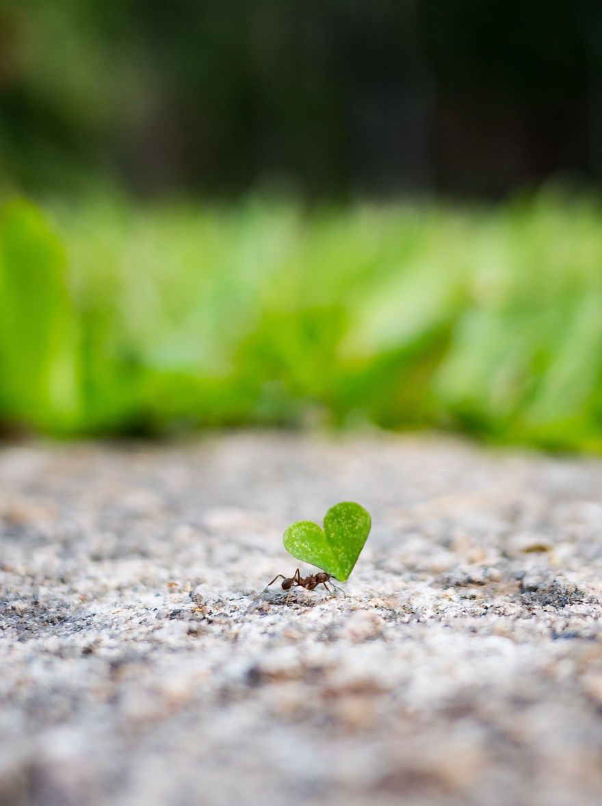 #Love2019 Photo Contest: фотоконкурс, в котором каждый снимок о настоящей любви - фото 445932