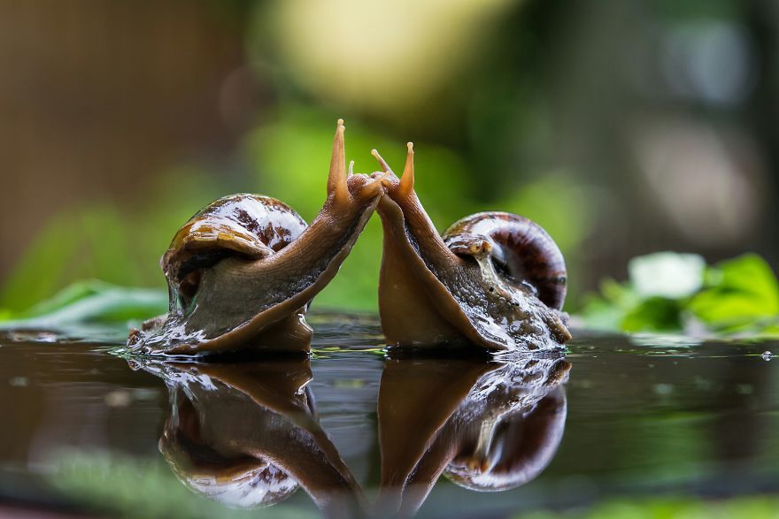 #Love2019 Photo Contest: фотоконкурс, в котором каждый снимок о настоящей любви - фото 445941