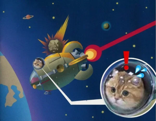 Не кот, а космос: котика в рюкзаке превратили в героя потешных мемов - фото 447378