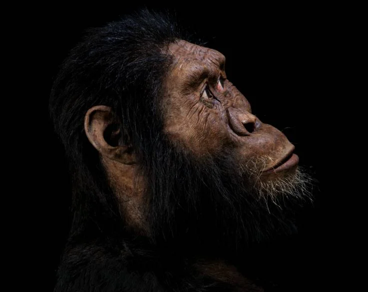 Ученые показали, как выглядели предки людей, и это фото – теория Дарвина наяву - фото 447808