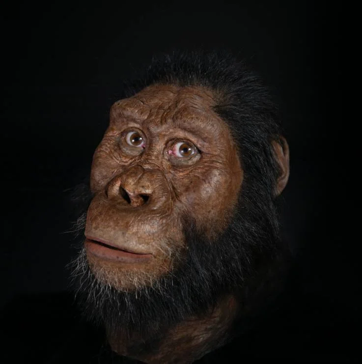 Ученые показали, как выглядели предки людей, и это фото – теория Дарвина наяву - фото 447809