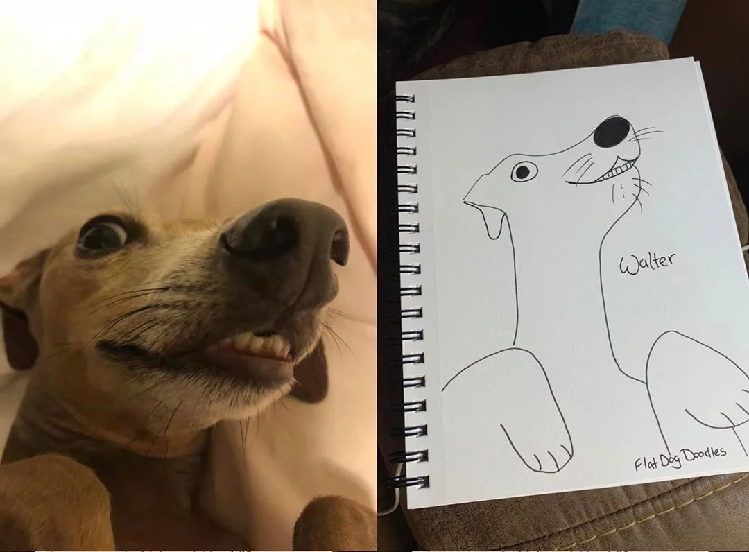 Художник малює смішні карикатури на тварин, які точно піднімуть тобі настрій - фото 449257