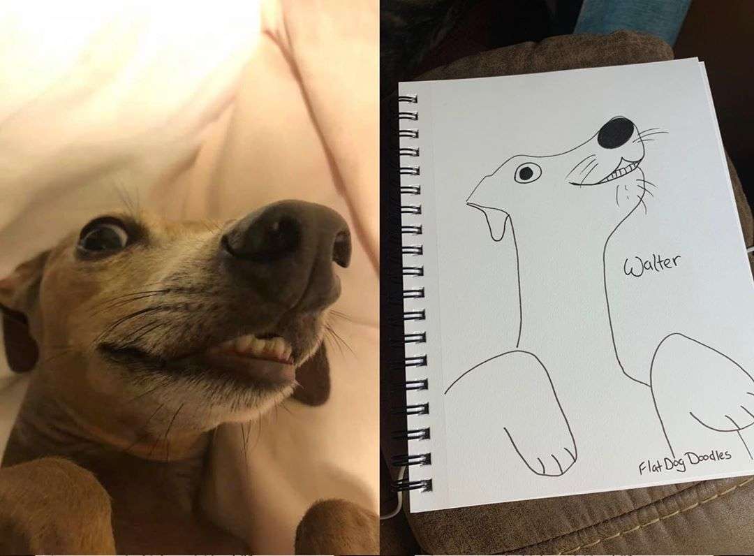 Художник рисует смешные карикатуры на животных, которые точно поднимут тебе настроение - фото 449257