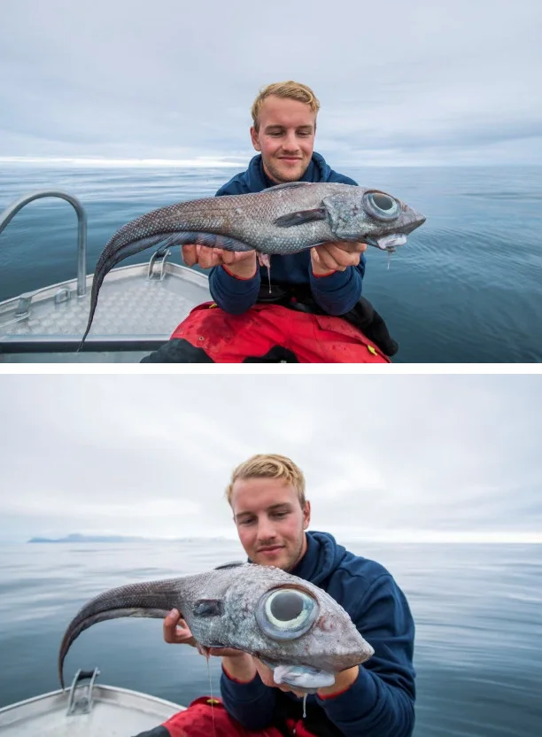 Хлопець спіймав рибу з велетенськими очима, яка живе на дні океану вже 300 мільйонів років - фото 450300