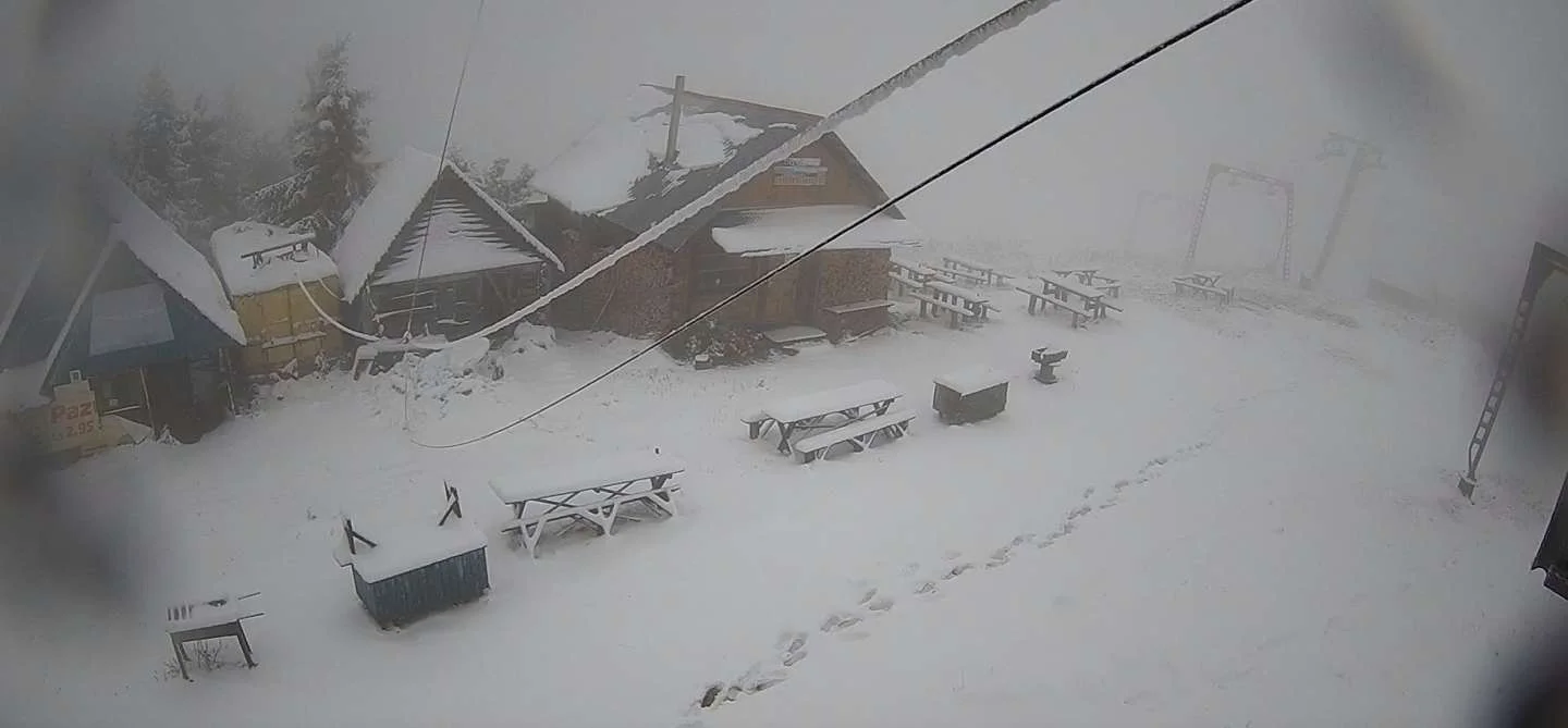 У Карпатах випав перший сніг - фото 453165