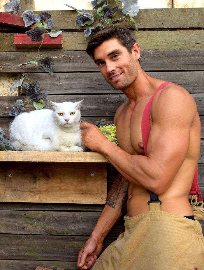 Австралийские пожарные обнажили мышцы для календаря, и это концентрация секса и животных - фото 453404