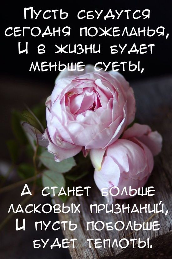 С днем рождения: красивые поздравления в стихах и прозе - фото 453772